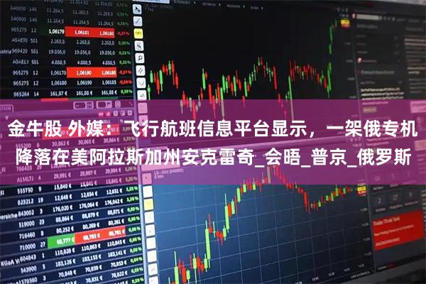 金牛股 外媒：飞行航班信息平台显示，一架俄专机降落在美阿拉斯加州安克雷奇_会晤_普京_俄罗斯