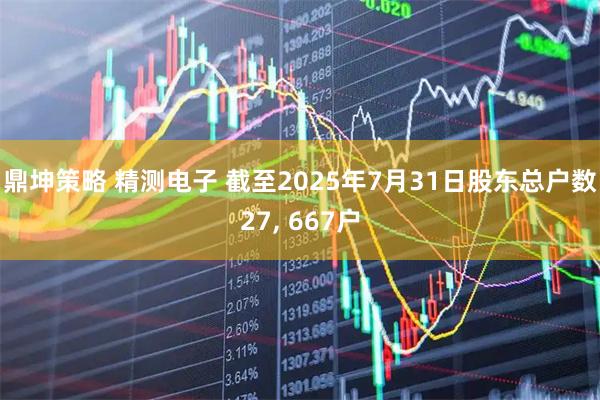 鼎坤策略 精测电子 截至2025年7月31日股东总户数27, 667户