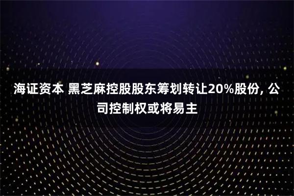海证资本 黑芝麻控股股东筹划转让20%股份, 公司控制权或将易主