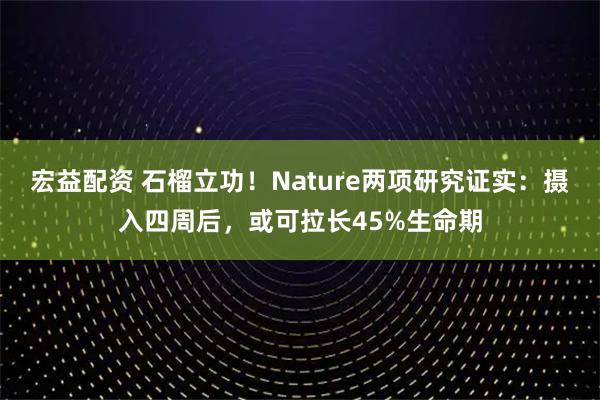 宏益配资 石榴立功！Nature两项研究证实：摄入四周后，或可拉长45%生命期