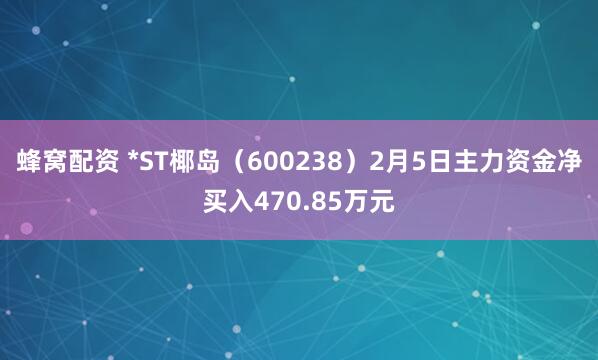 蜂窝配资 *ST椰岛（600238）2月5日主力资金净买入470.85万元
