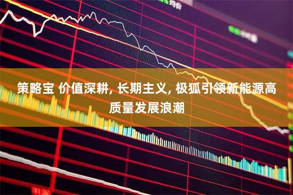 策略宝 价值深耕, 长期主义, 极狐引领新能源高质量发展浪潮