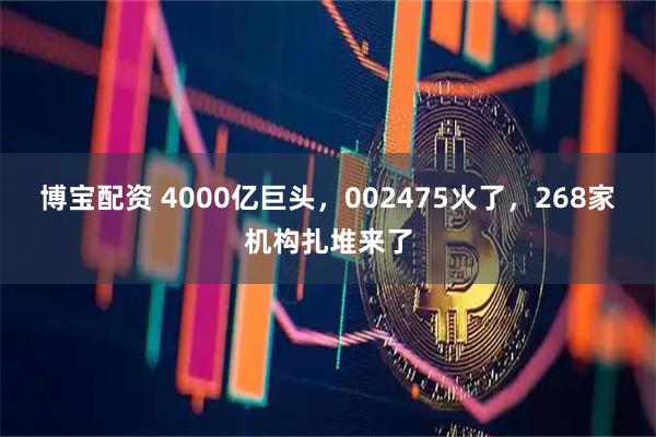 博宝配资 4000亿巨头，002475火了，268家机构扎堆来了